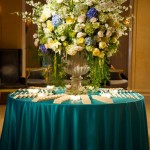 Happily Ever After: Sally & Matt at the Plaza Hotel